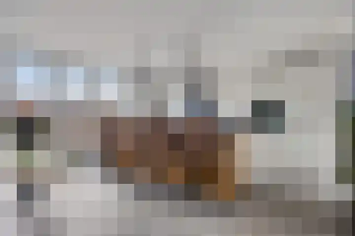 Goudsbloemstraat 18 Alblasserdam thumbnail 8