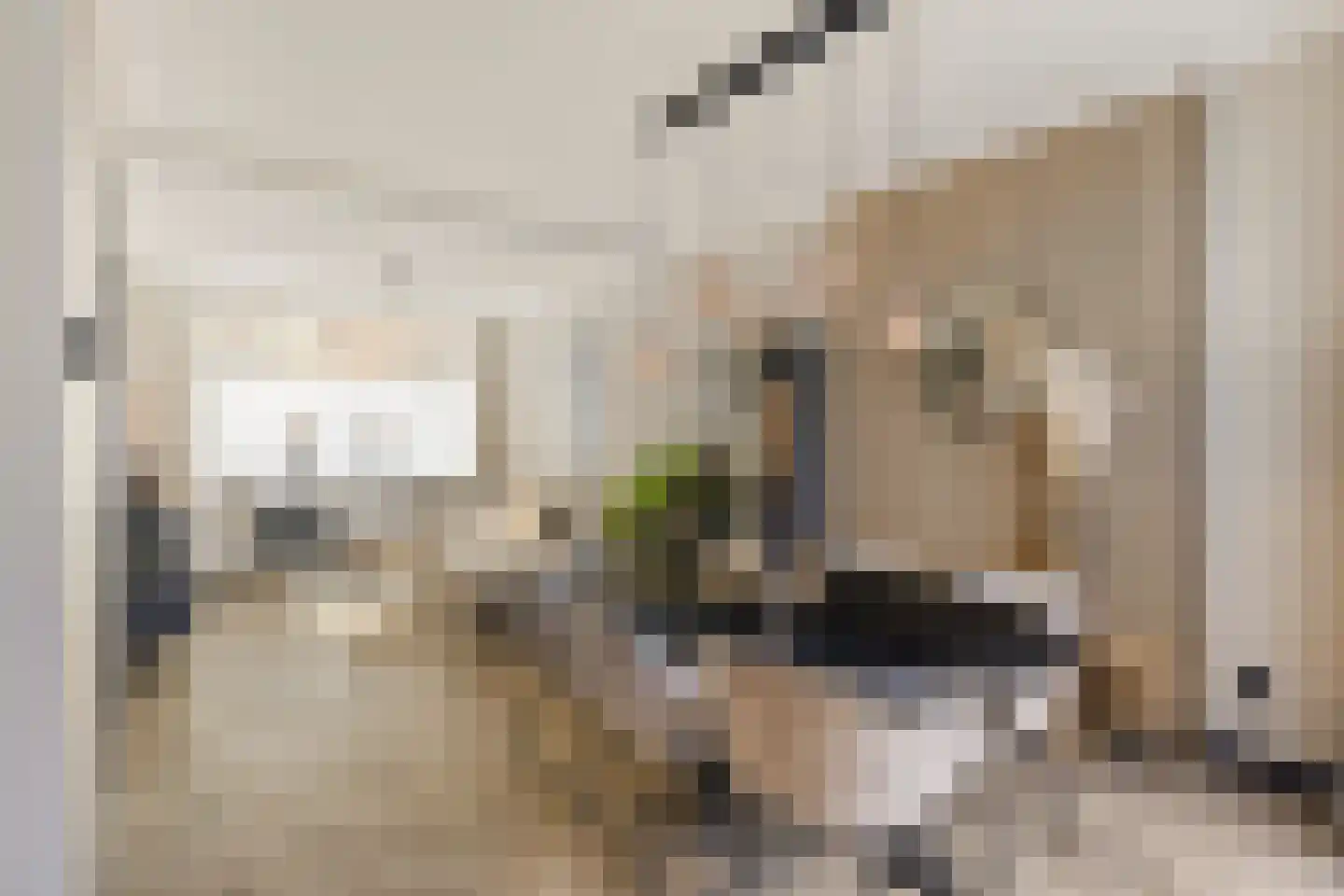 Goudsbloemstraat 20 Den Helder thumbnail 7