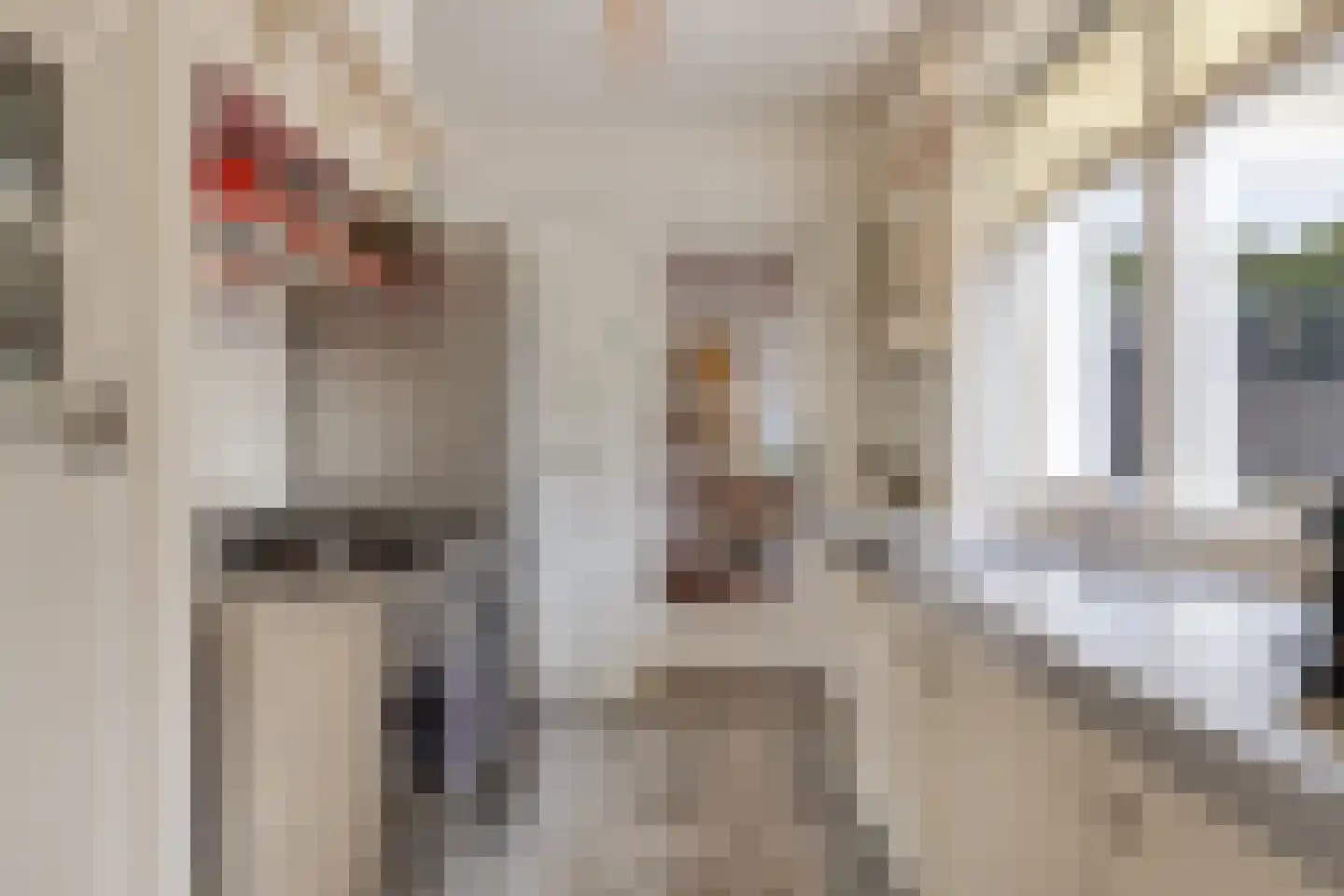 Goudsbloemstraat 22 Eindhoven thumbnail 17