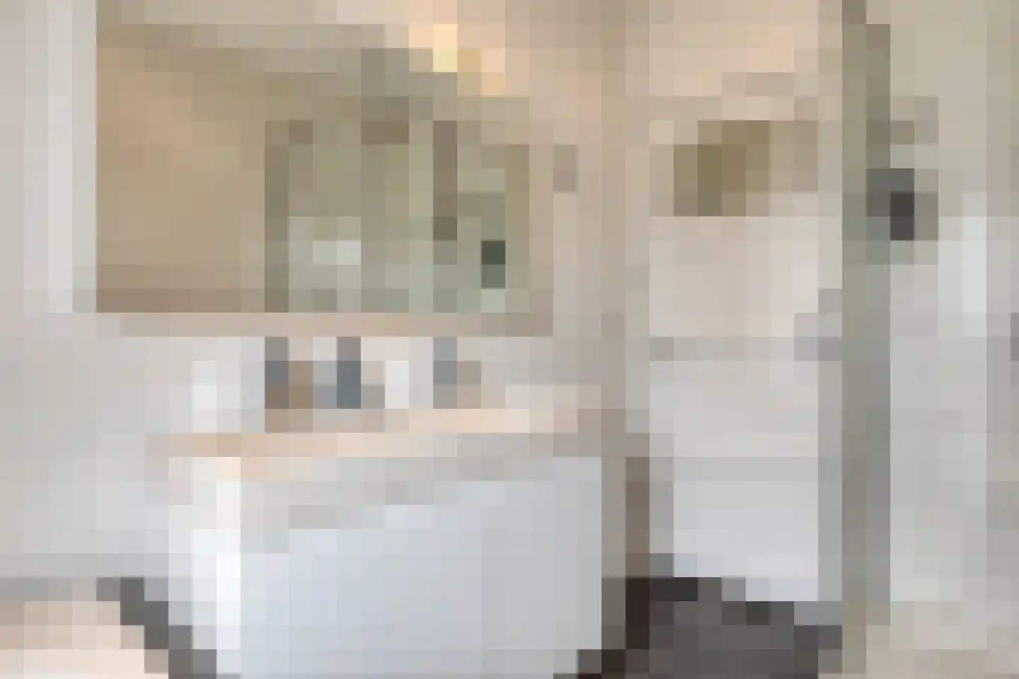 Goudsbloemstraat 22 Eindhoven thumbnail 26