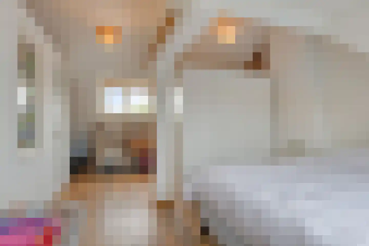 Goudsbloemstraat 22 Eindhoven thumbnail 32