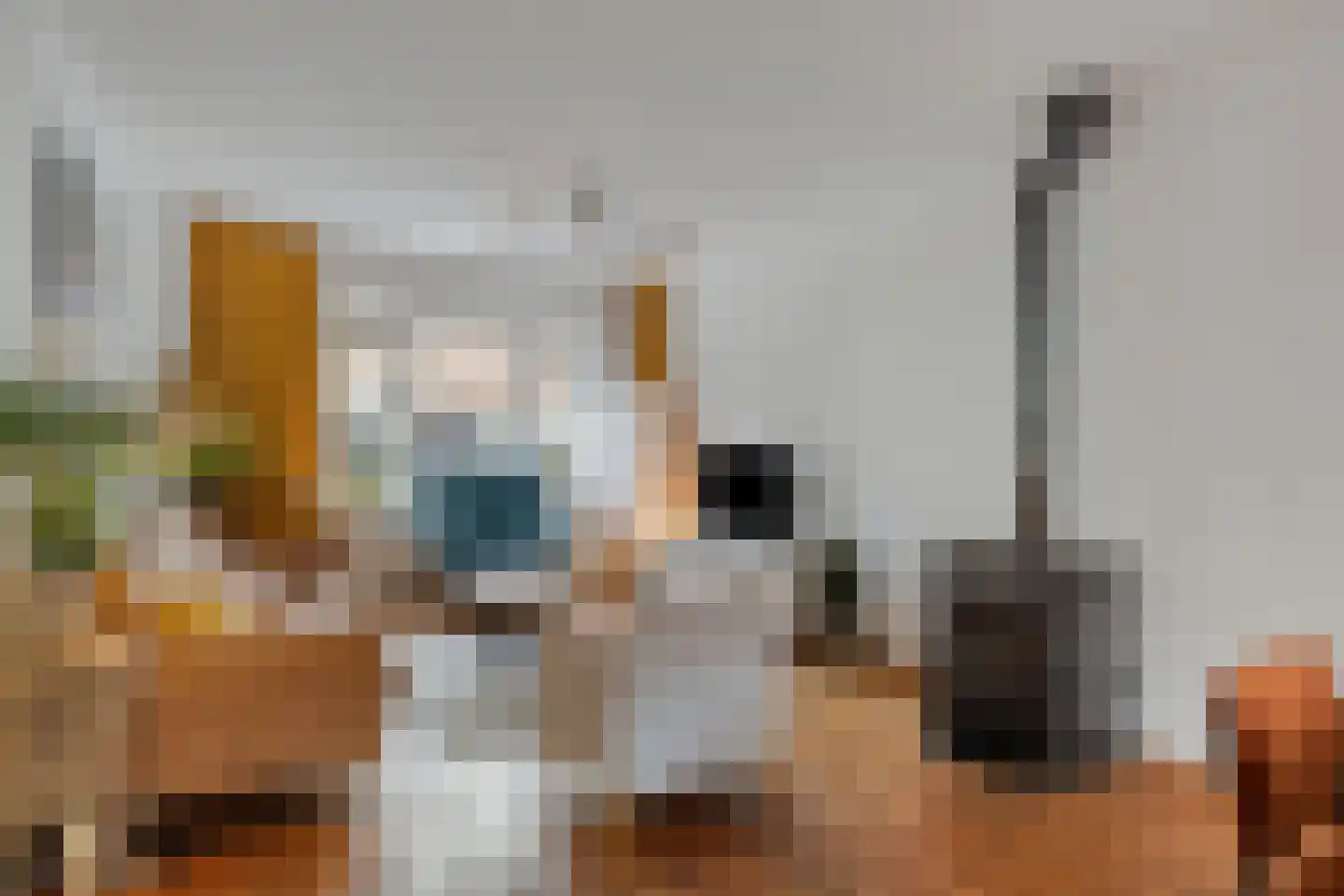 Goudsbloemstraat 22 Eindhoven thumbnail 9