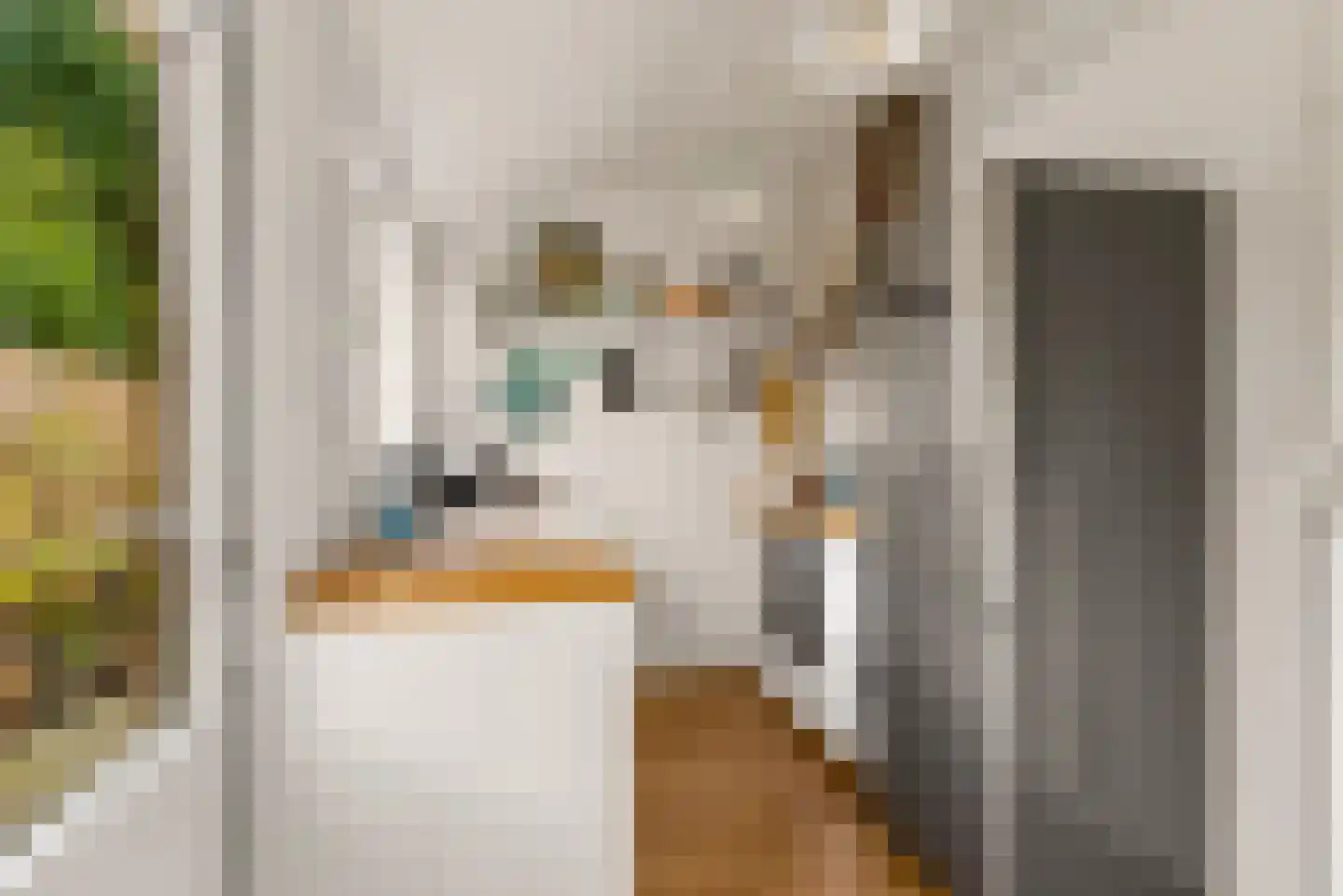 Goudsbloemstraat 22 Utrecht thumbnail 14