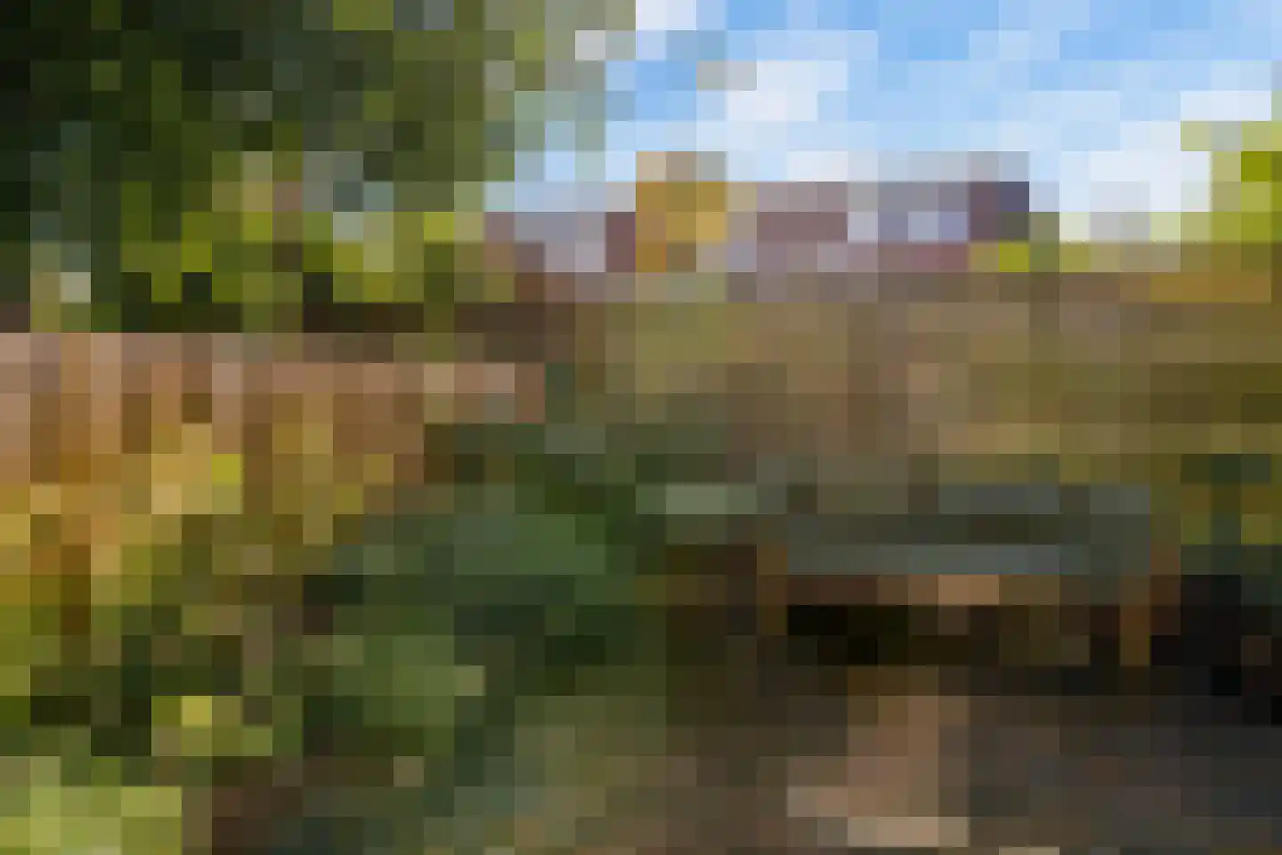 Goudsbloemstraat 22 Utrecht thumbnail 19