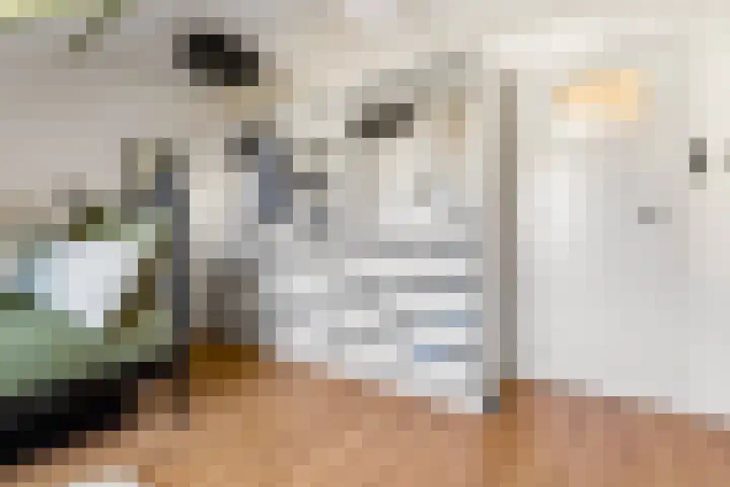 Goudsbloemstraat 22 Utrecht thumbnail 30