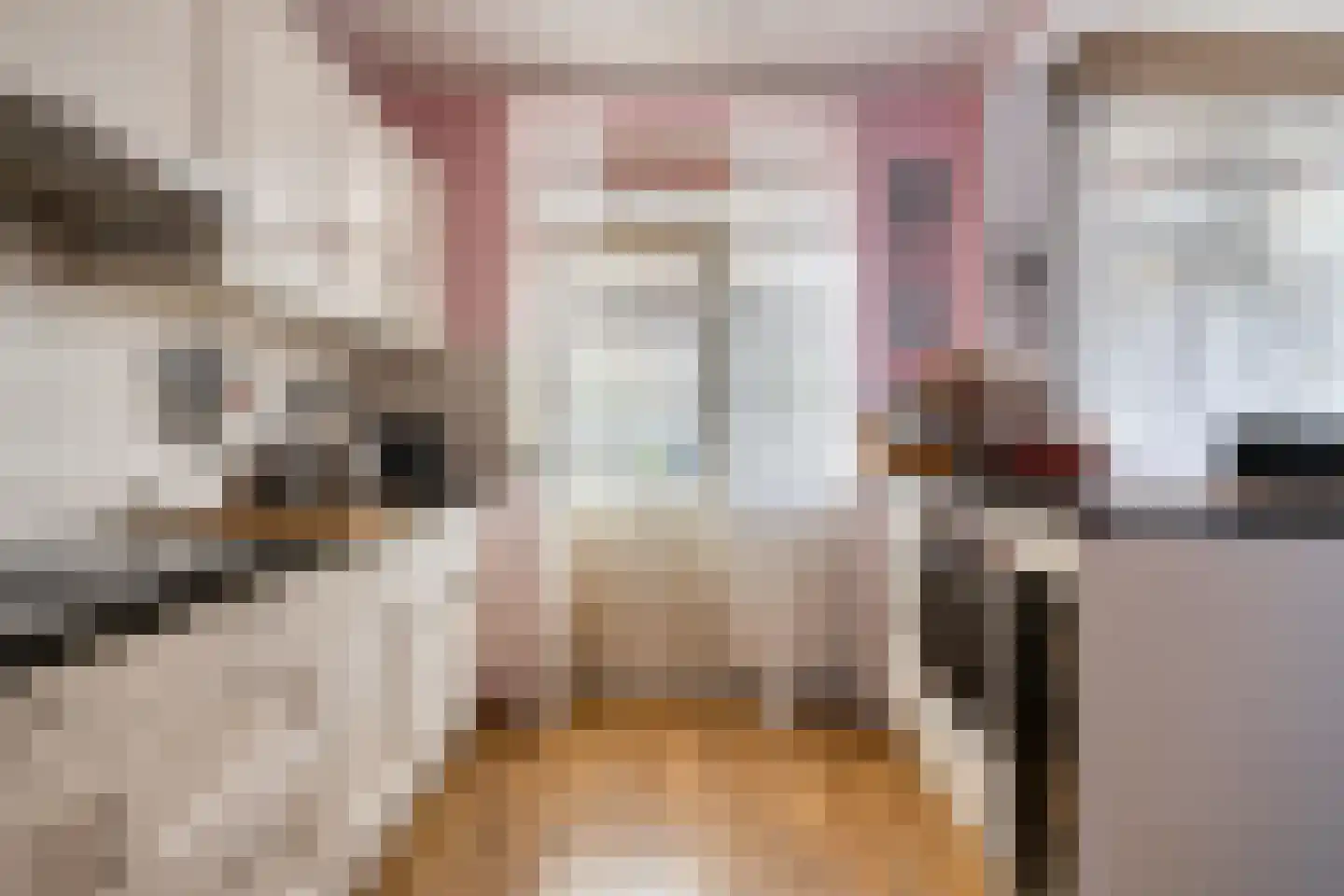 Goudsbloemstraat 26 Beek en Donk thumbnail 10