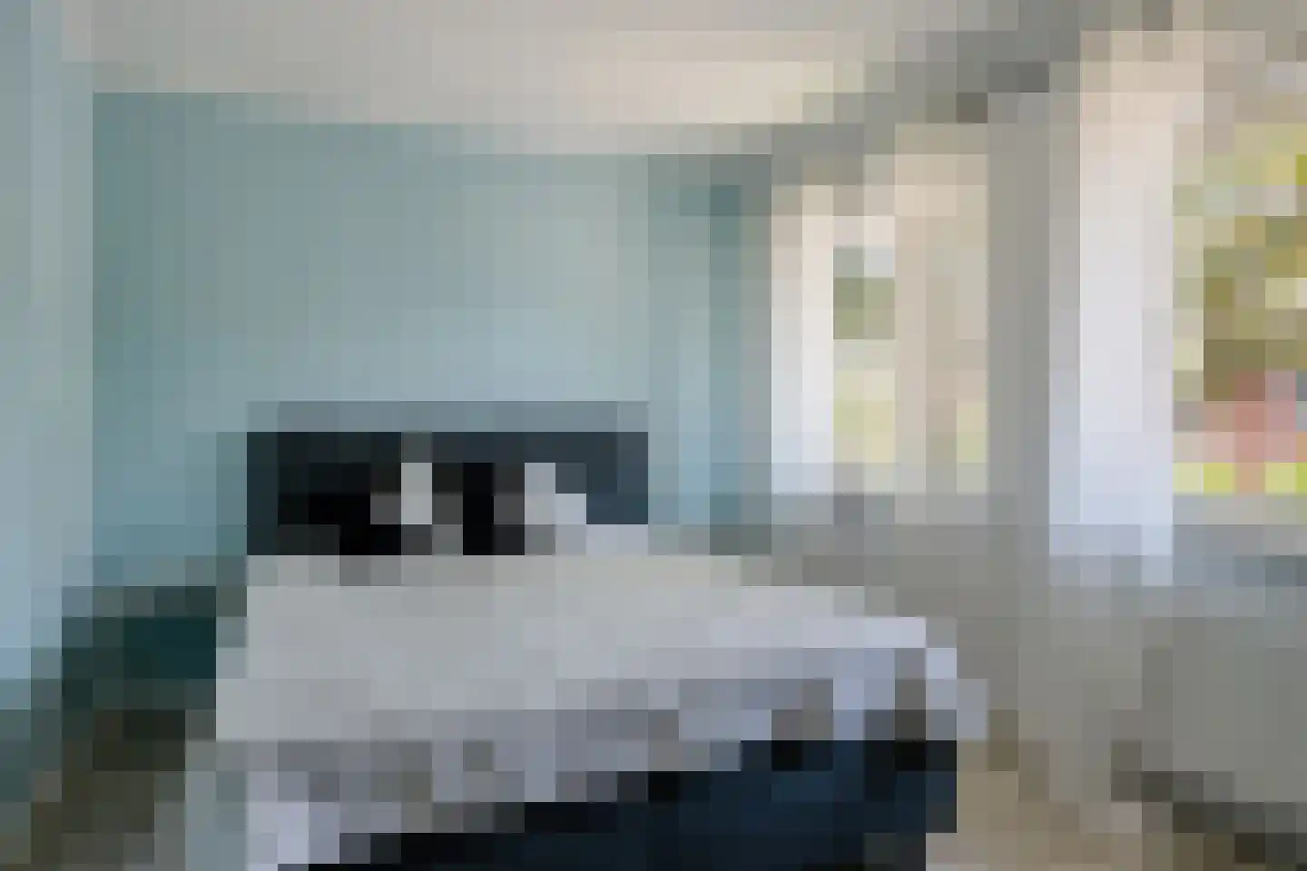 Goudsbloemstraat 26 Beek en Donk thumbnail 16