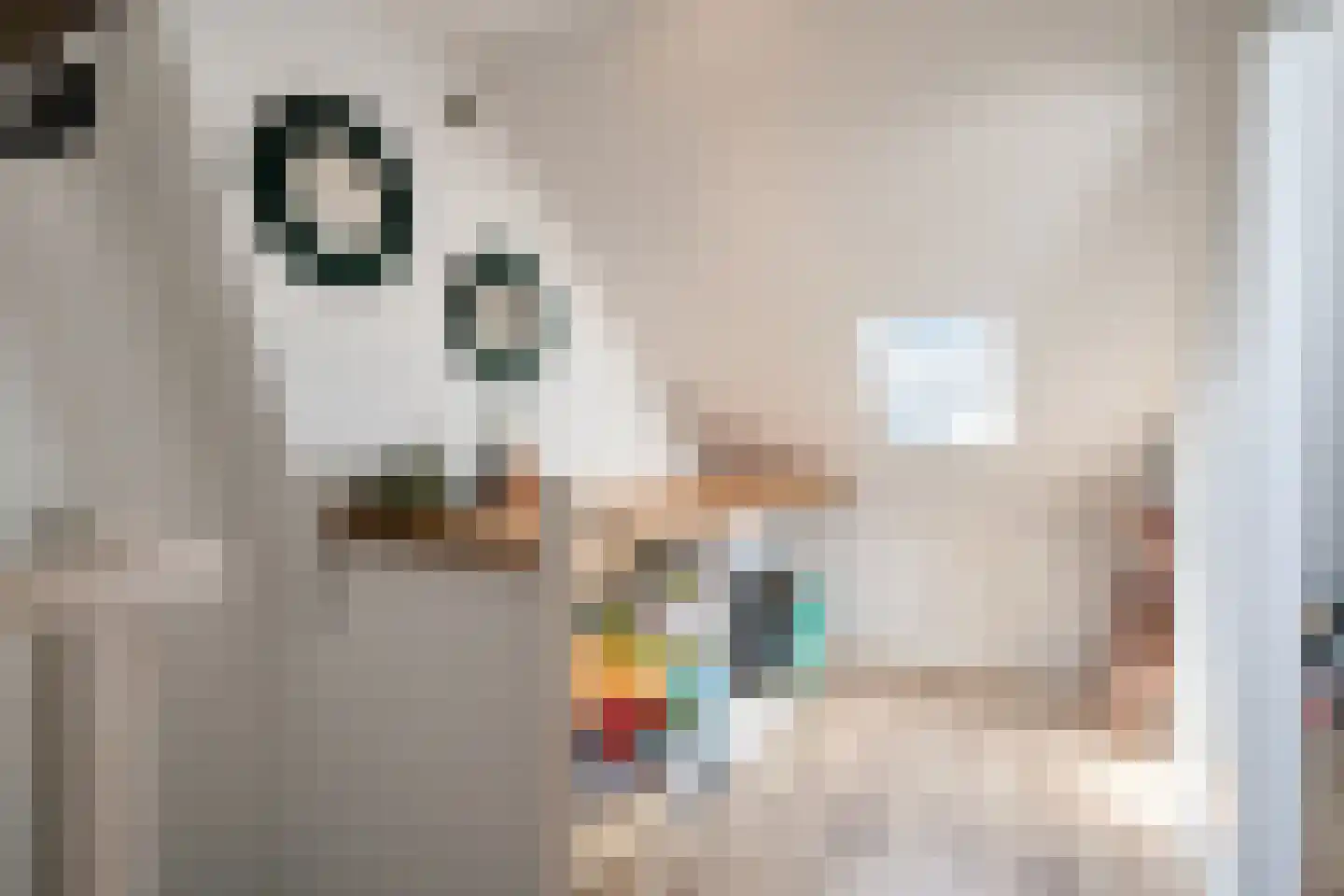 Goudsbloemstraat 26 Beek en Donk thumbnail 21