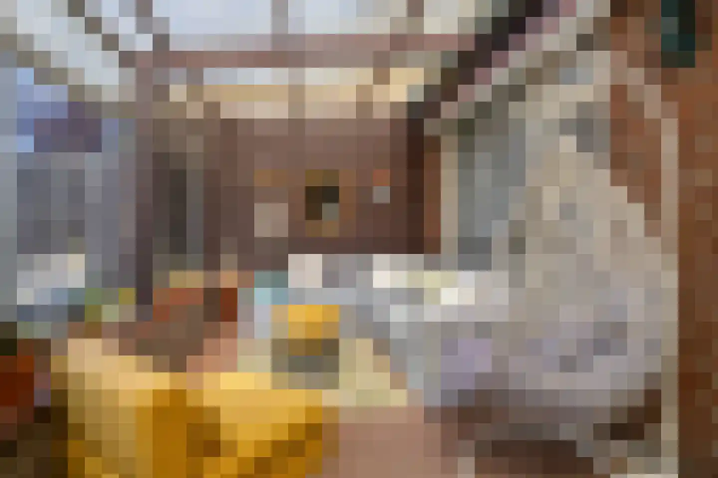 Goudsbloemstraat 26 Beek en Donk thumbnail 24