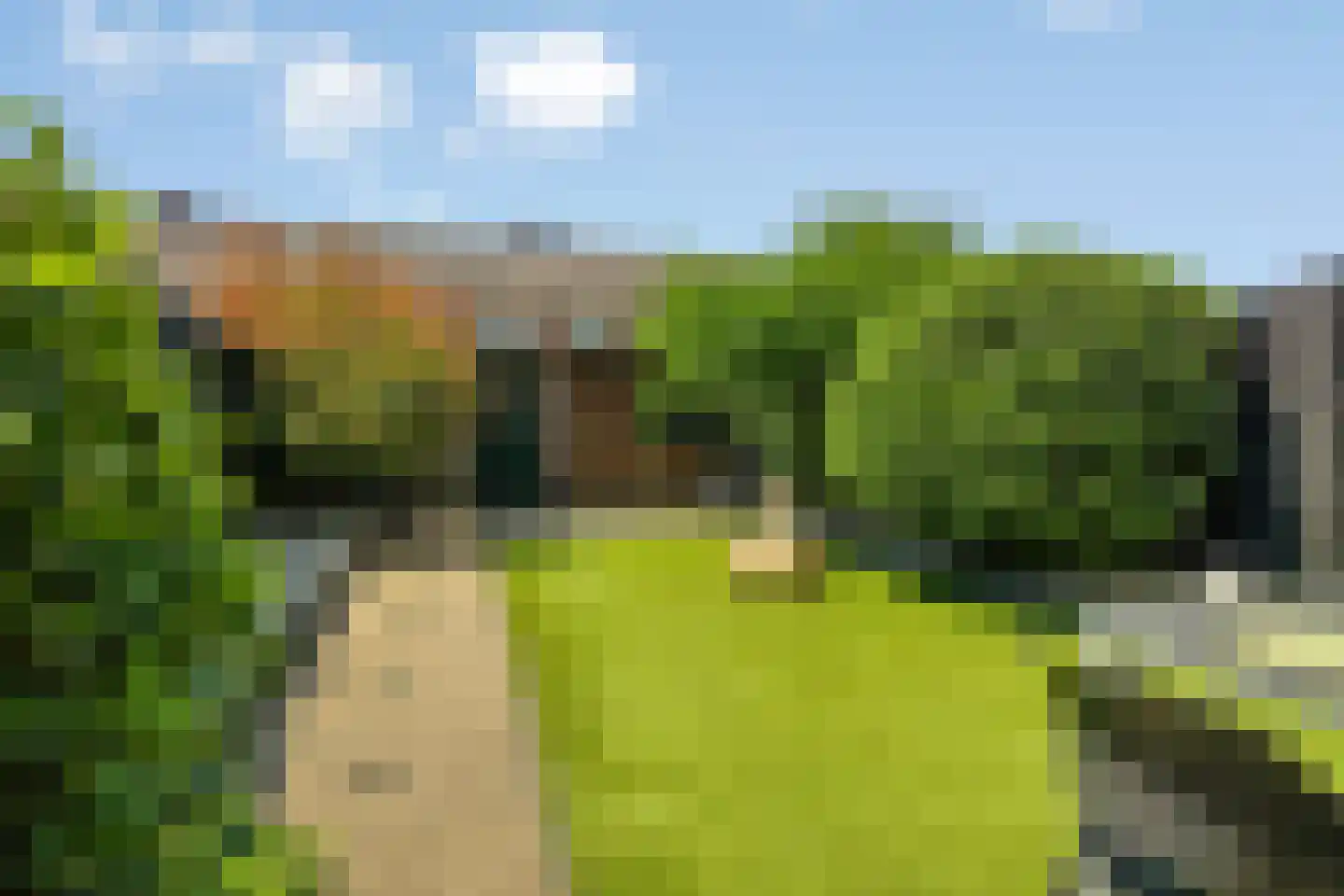 Goudsbloemstraat 26 Beek en Donk thumbnail 25