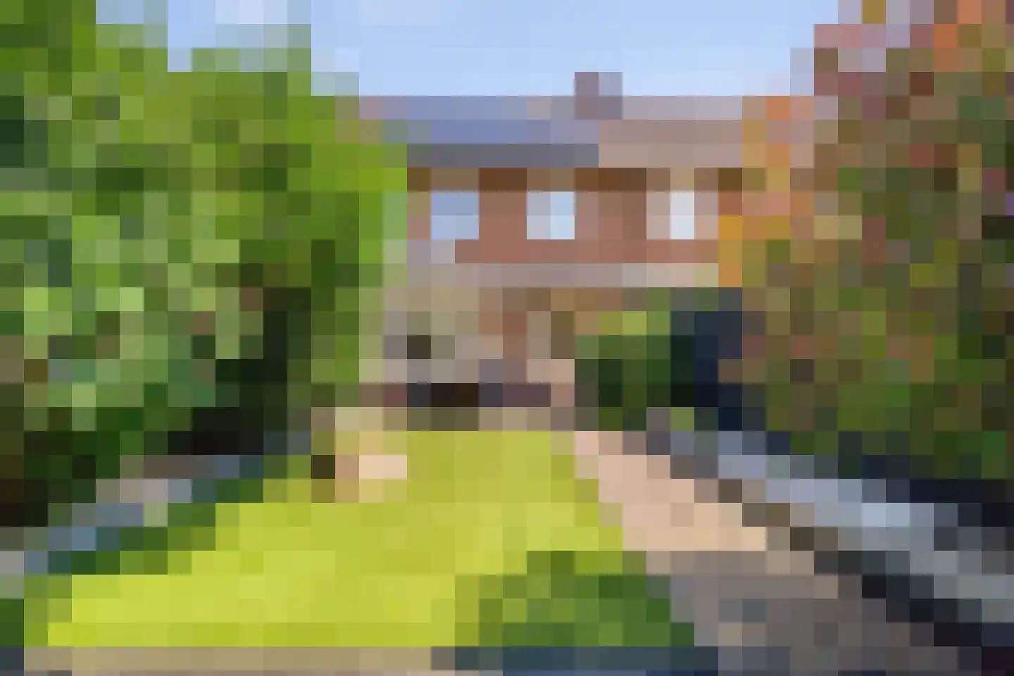 Goudsbloemstraat 26 Beek en Donk thumbnail 27