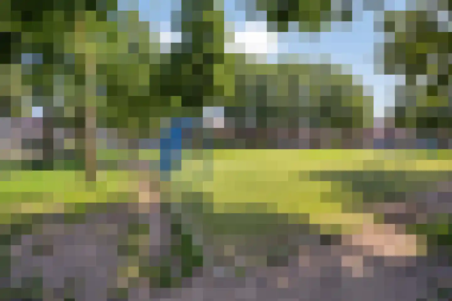Goudsbloemstraat 26 Beek en Donk thumbnail 29