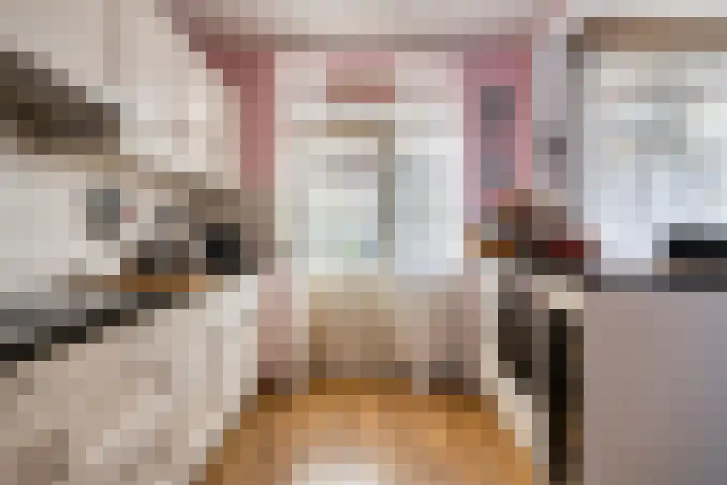 Goudsbloemstraat 26 Beek en Donk thumbnail 4