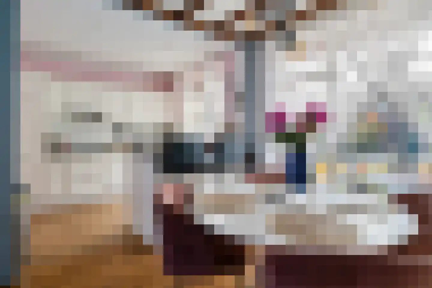 Goudsbloemstraat 26 Beek en Donk thumbnail 9