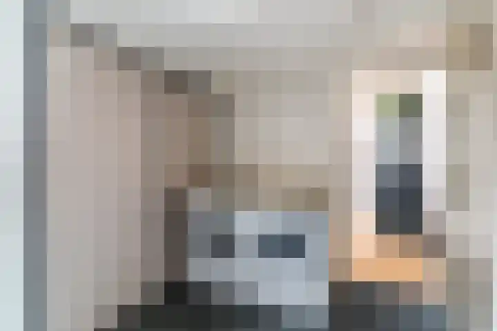 Goudsbloemstraat 3 Bergeijk thumbnail 20