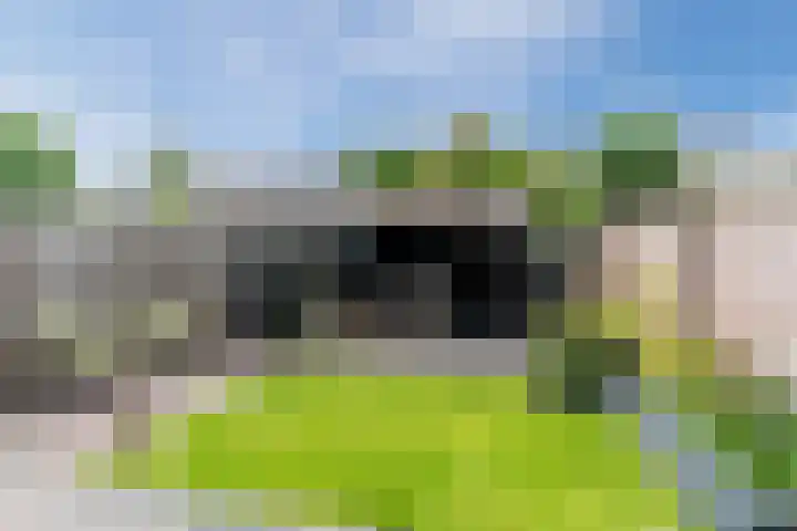 Goudsbloemstraat 3 Bergeijk thumbnail 31