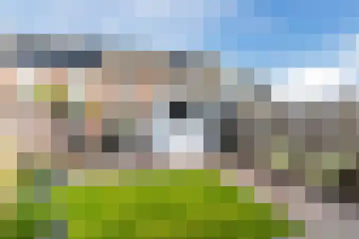 Goudsbloemstraat 3 Bergeijk thumbnail 32