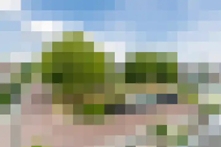 Goudsbloemstraat 3 Bergeijk thumbnail 37