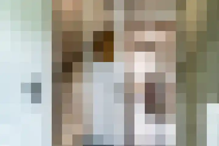 Goudsbloemstraat 3 Bergeijk thumbnail 4