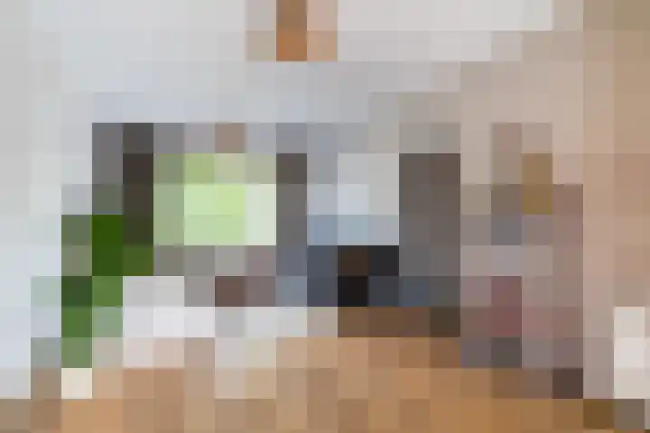 Goudsbloemstraat 3 Bergeijk thumbnail 6
