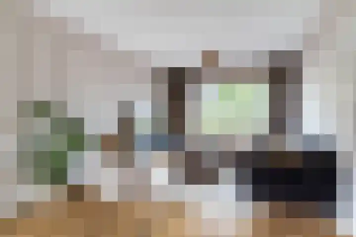 Goudsbloemstraat 3 Bergeijk thumbnail 7