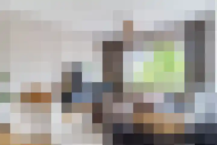 Goudsbloemstraat 3 Bergeijk thumbnail 8