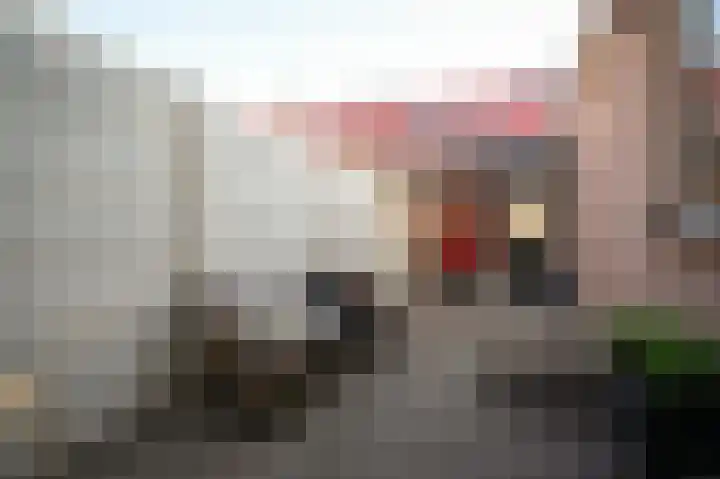 Goudsbloemstraat 3 Culemborg thumbnail 23