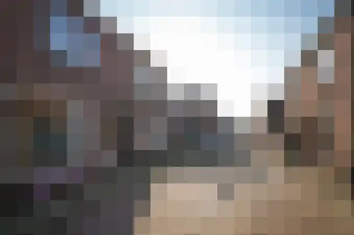 Goudsbloemstraat 3 Culemborg thumbnail 30
