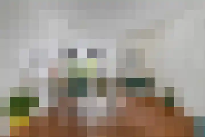 Goudsbloemstraat 30 Eindhoven thumbnail 10