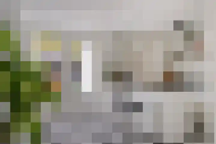 Goudsbloemstraat 30 Eindhoven thumbnail 13