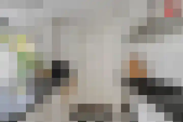 Goudsbloemstraat 30 Eindhoven thumbnail 16