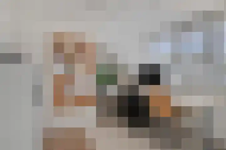 Goudsbloemstraat 30 Eindhoven thumbnail 32