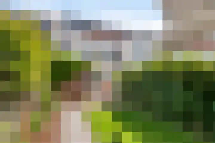 Goudsbloemstraat 30 Eindhoven thumbnail 33