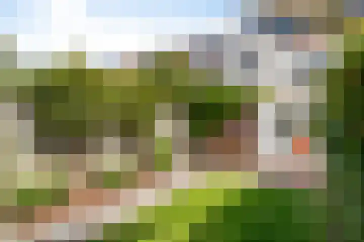 Goudsbloemstraat 30 Eindhoven thumbnail 34
