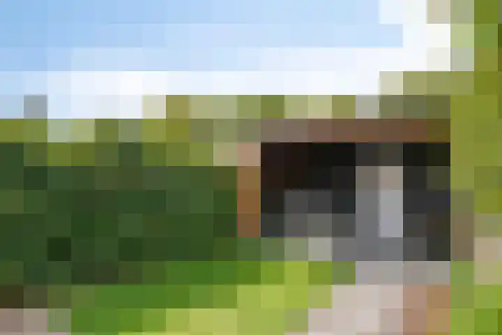 Goudsbloemstraat 30 Eindhoven thumbnail 35
