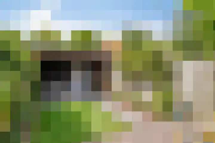 Goudsbloemstraat 30 Eindhoven thumbnail 36