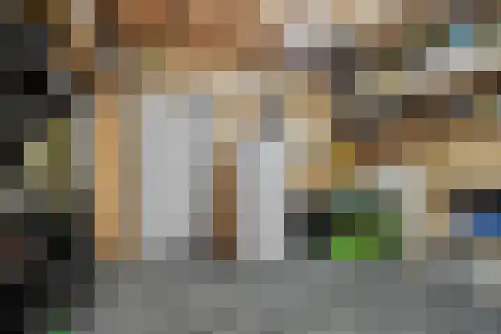 Goudsbloemstraat 30 Eindhoven thumbnail 39