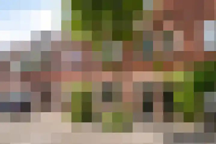 Goudsbloemstraat 30 Eindhoven thumbnail 4