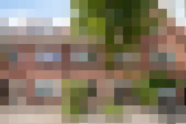Goudsbloemstraat 30 Eindhoven thumbnail 47