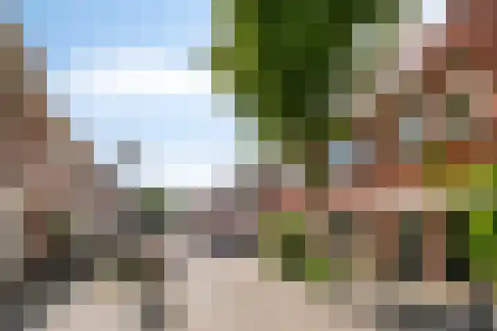 Goudsbloemstraat 30 Eindhoven thumbnail 5