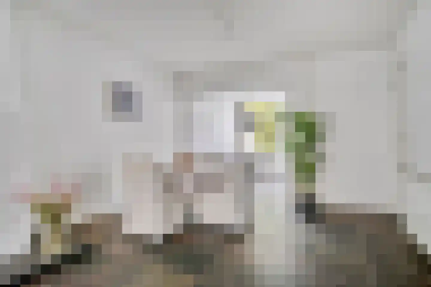 Goudsbloemstraat 38 Eindhoven thumbnail 10