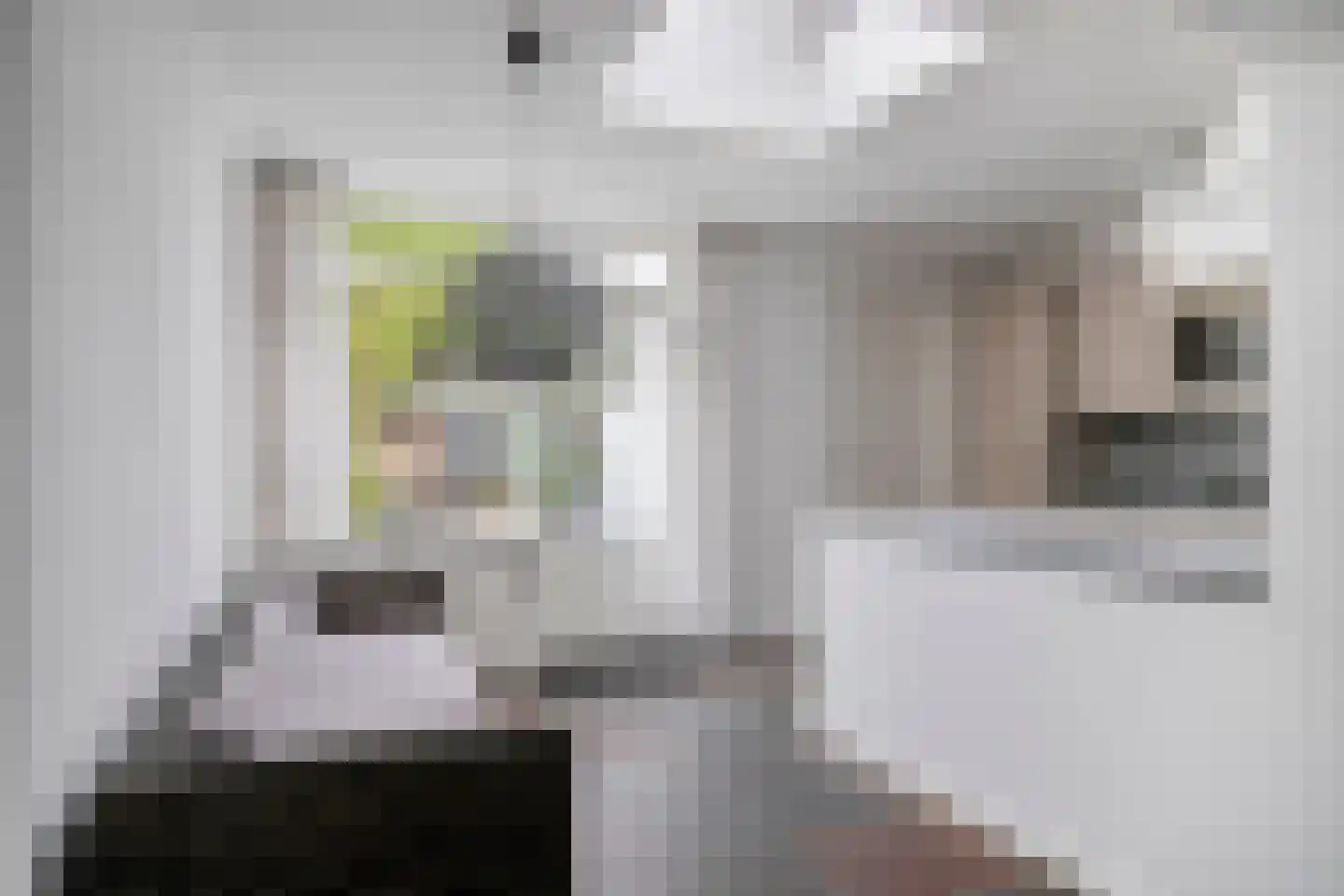 Goudsbloemstraat 38 Eindhoven thumbnail 12