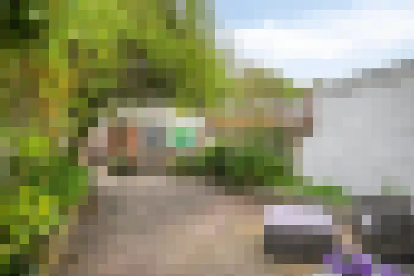 Goudsbloemstraat 38 Eindhoven thumbnail 17