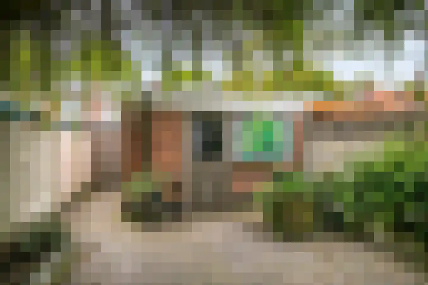 Goudsbloemstraat 38 Eindhoven thumbnail 18
