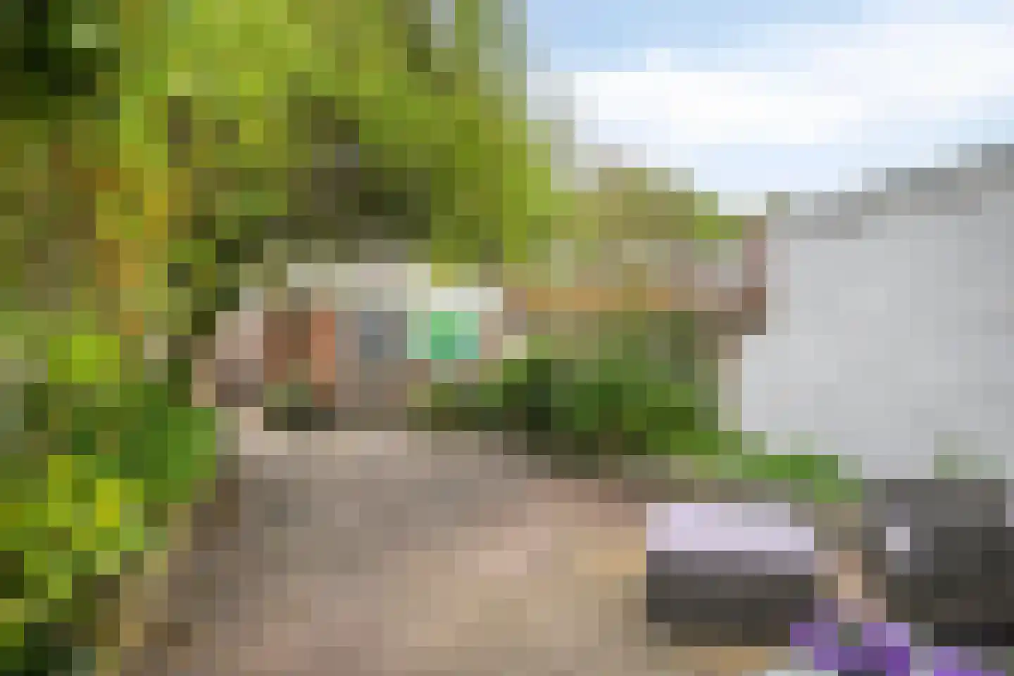 Goudsbloemstraat 38 Eindhoven thumbnail 5
