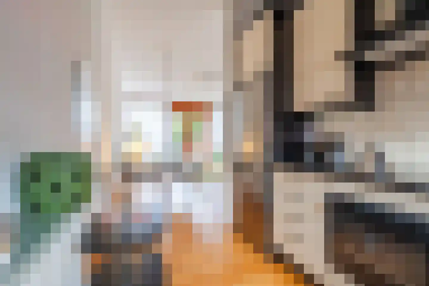 Goudsbloemstraat 43 Papendrecht thumbnail 12