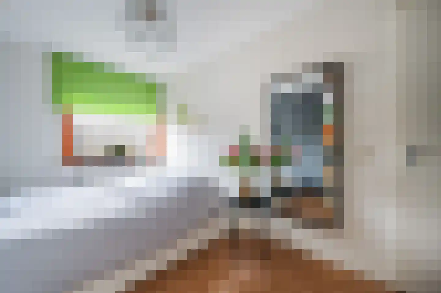 Goudsbloemstraat 43 Papendrecht thumbnail 18