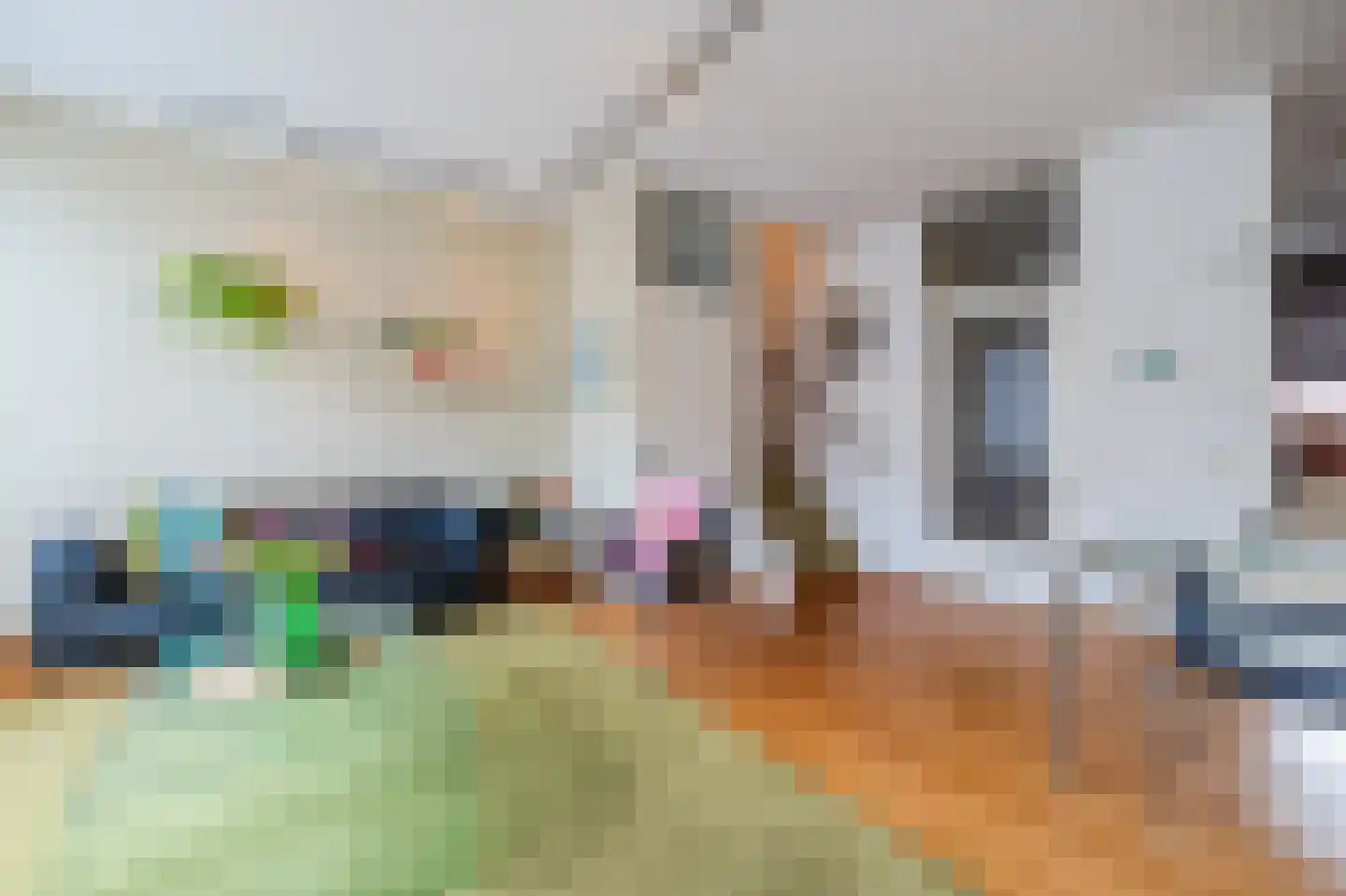 Goudsbloemstraat 43 Papendrecht thumbnail 4