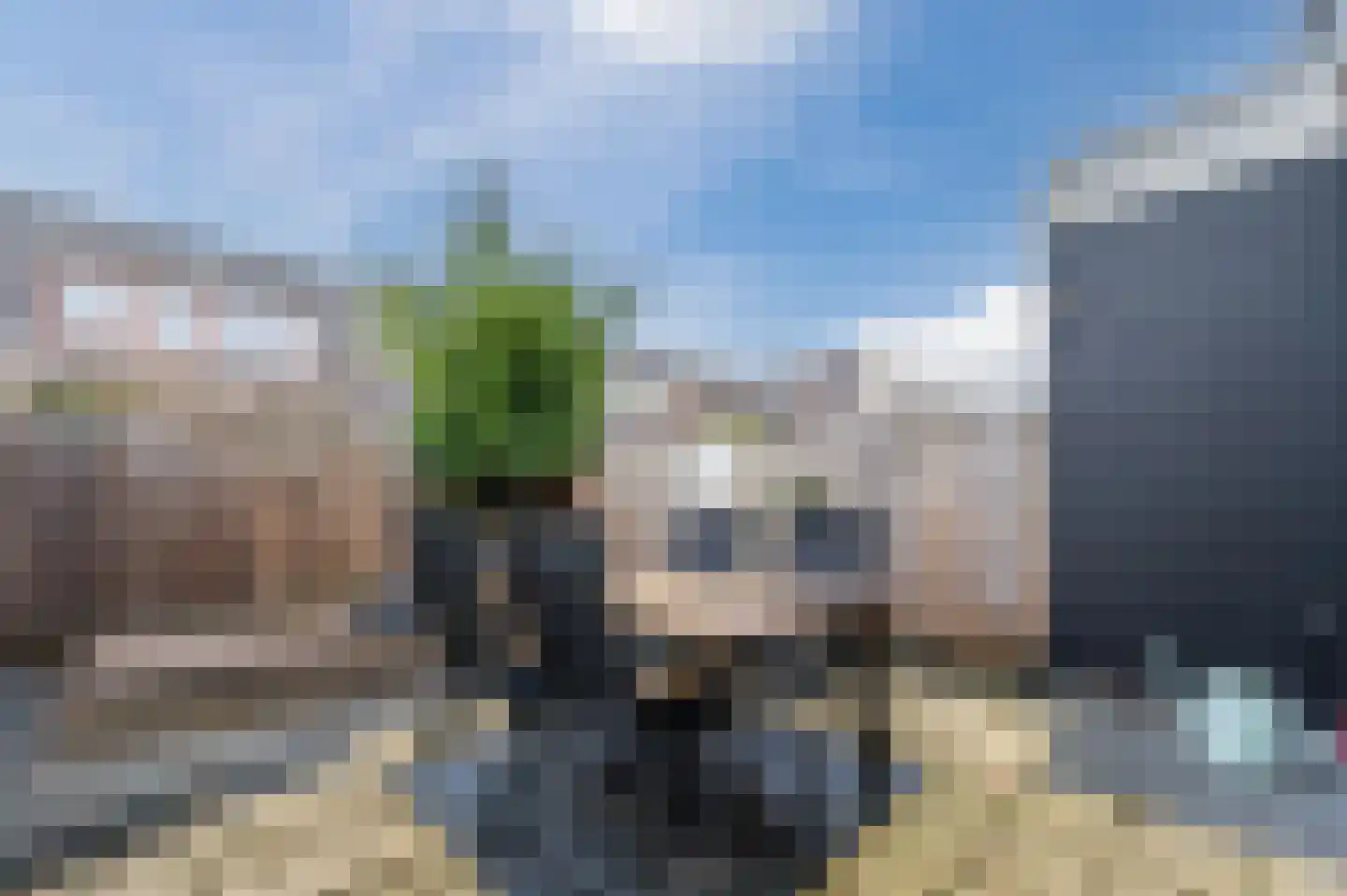 Goudsbloemstraat 43 Papendrecht thumbnail 8