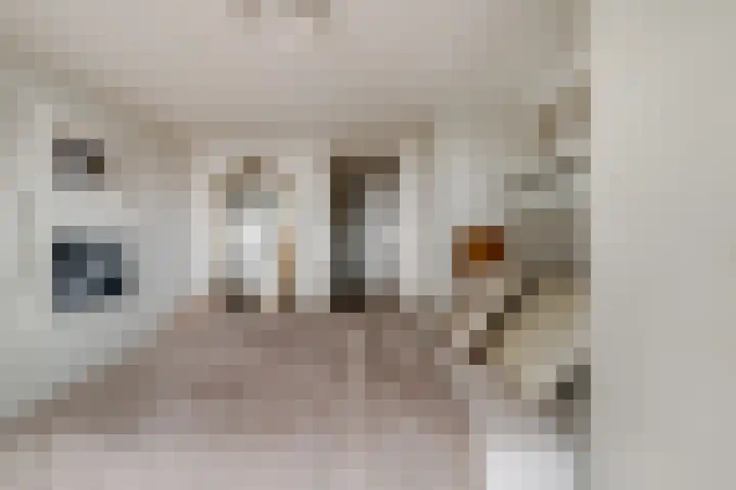 Goudsbloemstraat 59 H Amsterdam thumbnail 16